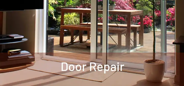 Door Repair