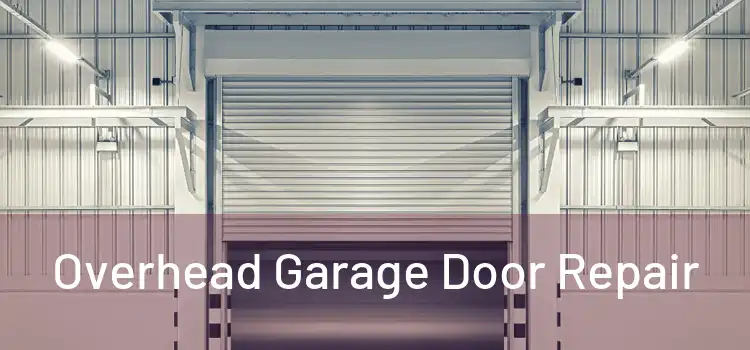  Overhead Garage Door Repair 